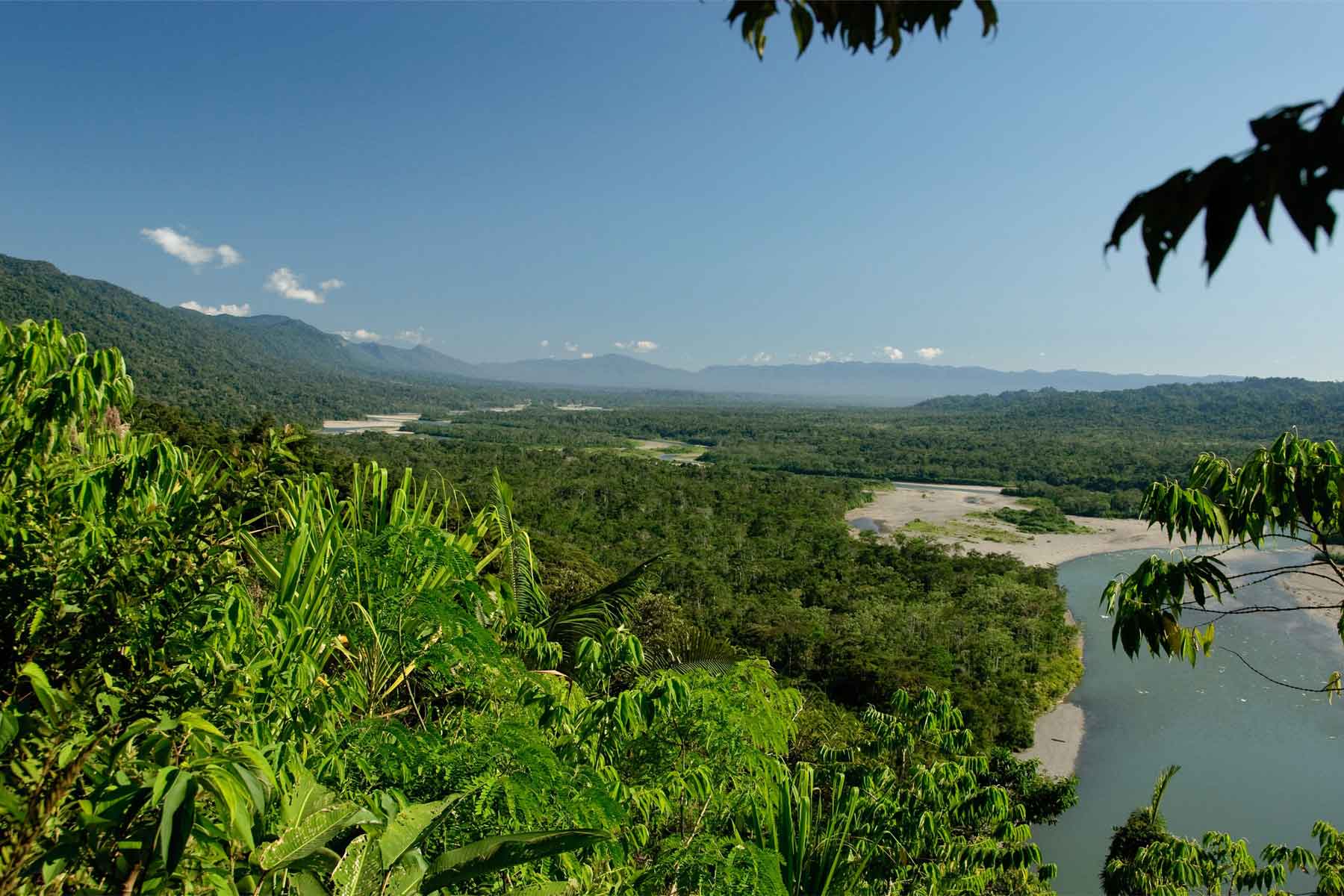 8-Day Manu Reserve Zone Tour