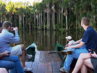 4 Day Amazon Jungle Tour Tambopata Sandoval Lake & Monkey Island