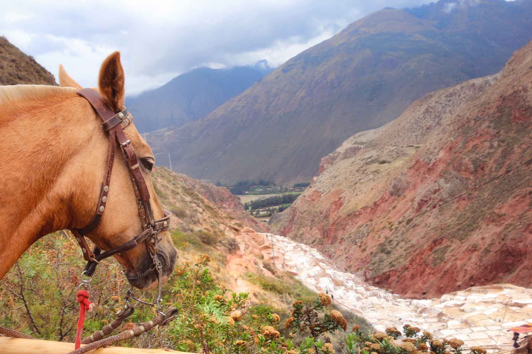 Horseback Riding Maras Moray 2D/1N