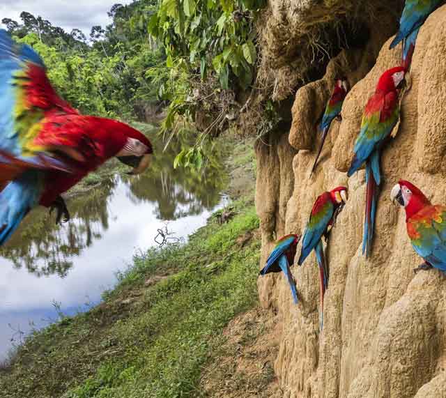 5 Days Manu cultural zone tour