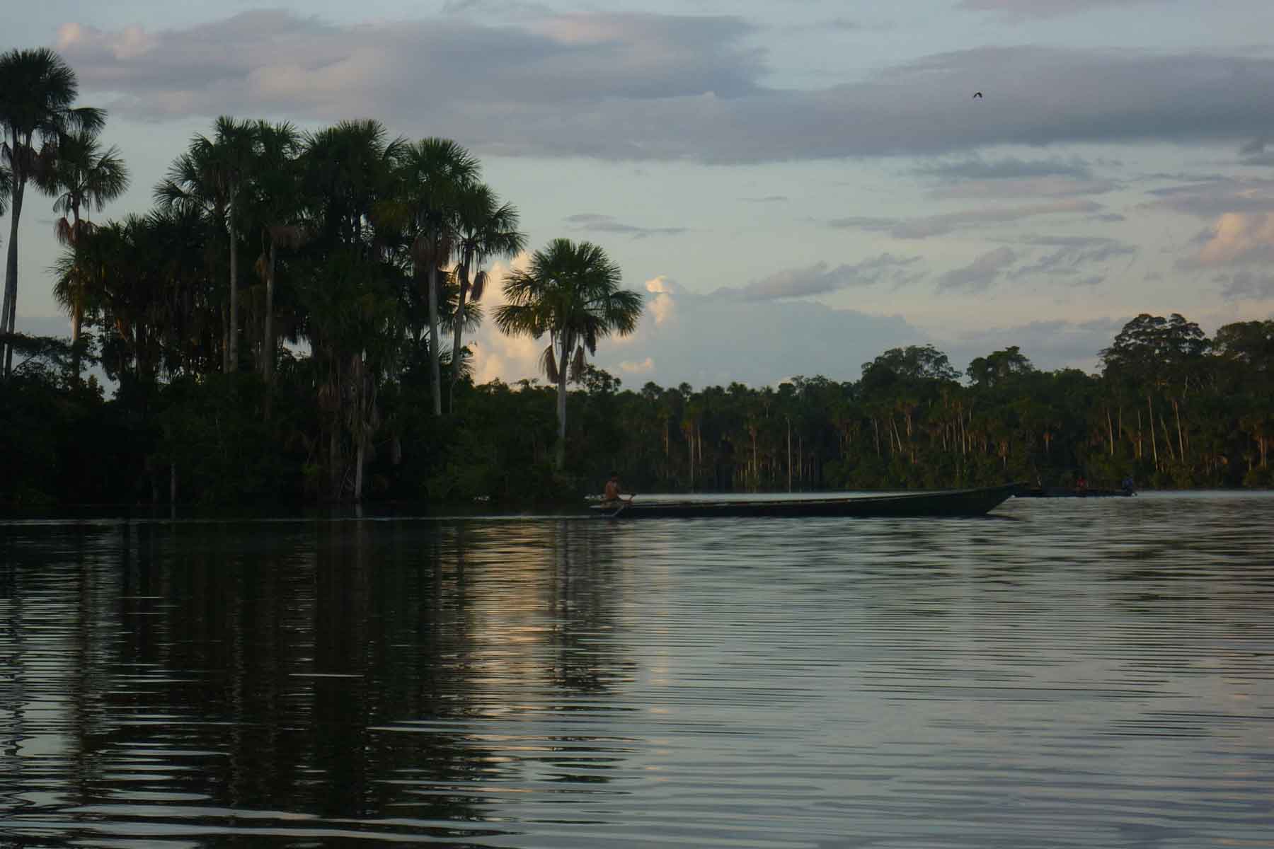 Best-Selling Iquitos Amazon tour 3 days | Wildlife & rainforest adventures