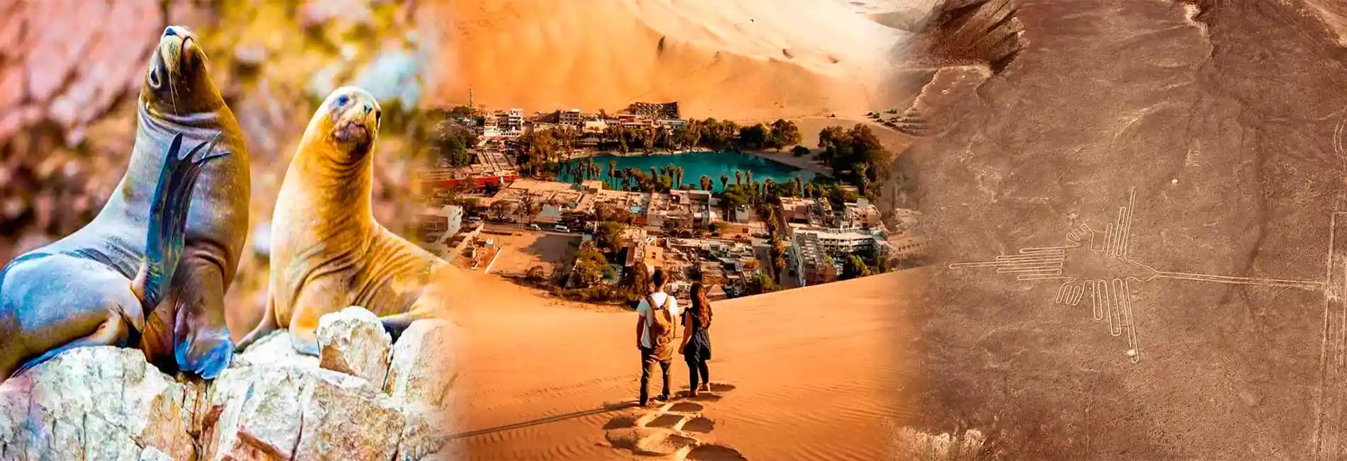 nazca lines tours