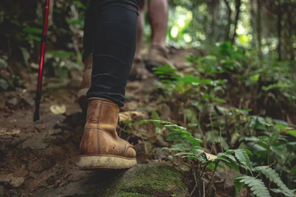 Trekking boots walking along a trail in the forest.