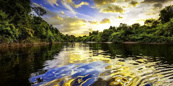 adventure in the Peruvian jungle