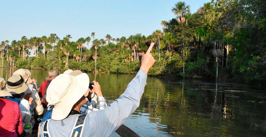 Bite of the Wild: Piranha Fishing at Yacumama Lake